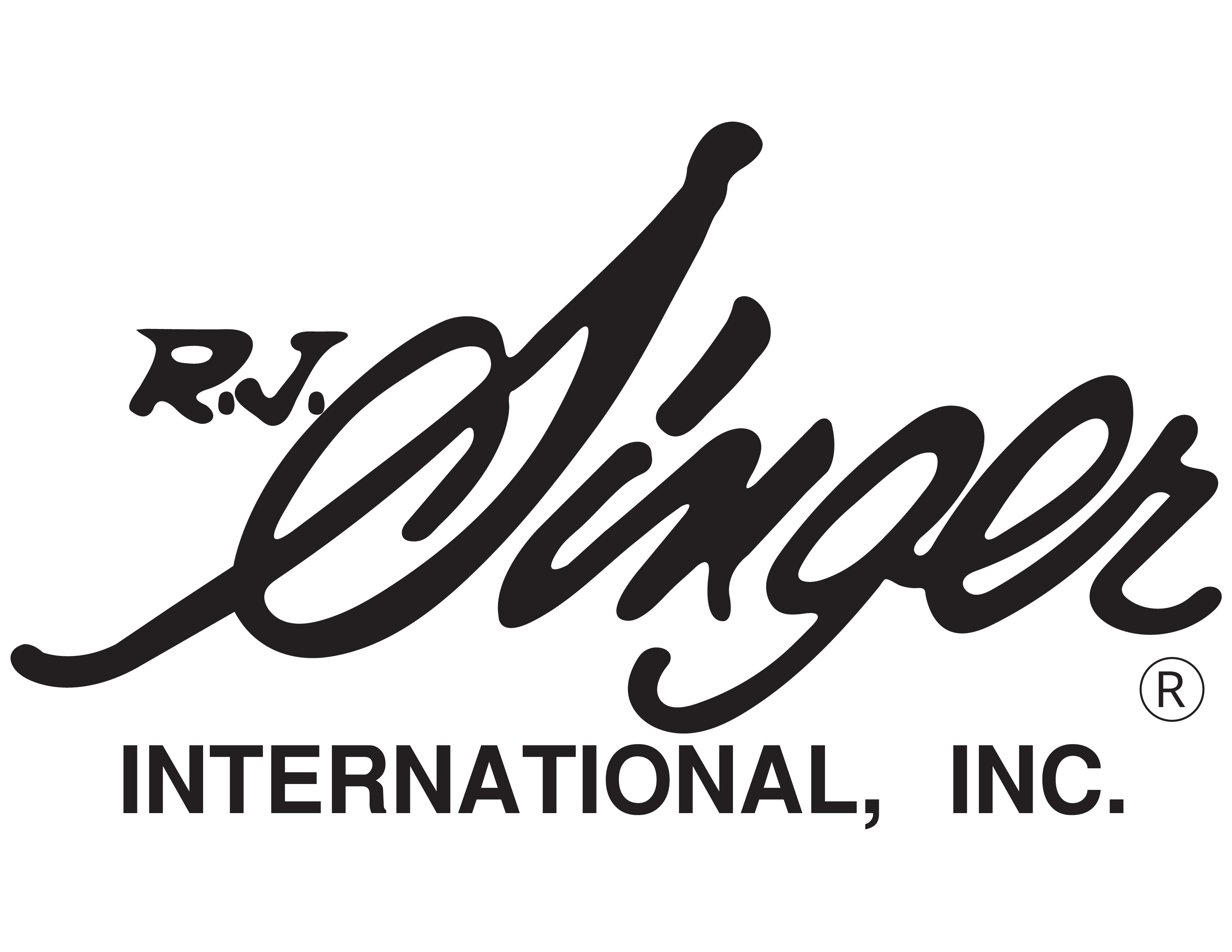 RJ Singer International Inc